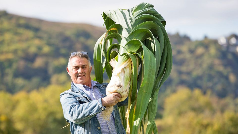 В Великобритании зафиксирован рекорд по весу лука-порея