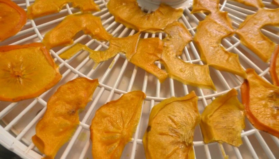 Как эффективно сушить хурму в электросушилке