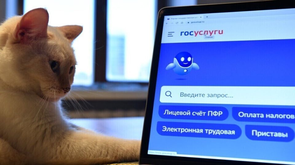 Как узнать собственника соседней квартиры: современные методы для подачи иска