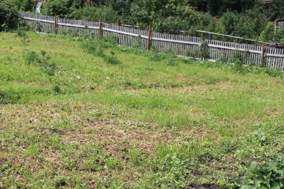 Укрепление и озеленение участка на склоне