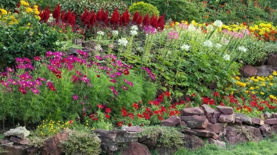 Как создать клумбу: секреты непрерывного цветения от садоводов