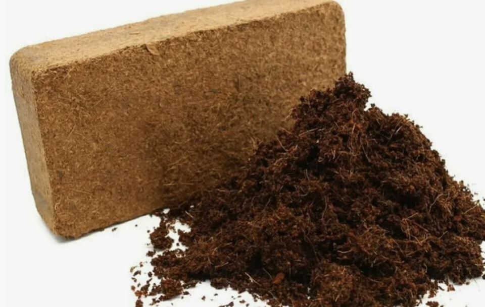 Почему кокосовый субстрат может быть соленым и как это решить