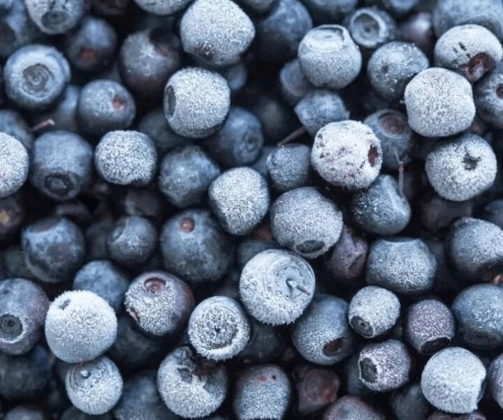 Вкусная симфония: мусс и кисель из черники для ярких вкусовых открытий