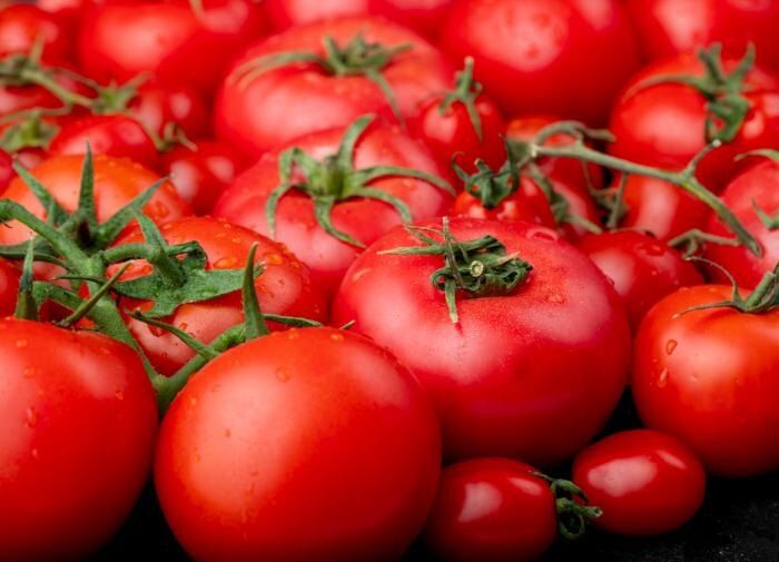 Как избежать жирования помидоров: основные ошибки и секреты ухода