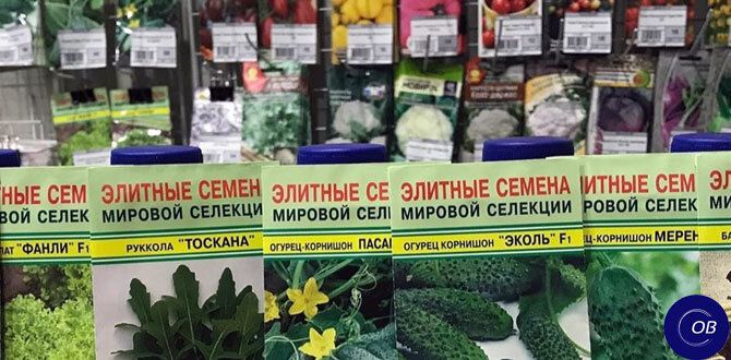 Секреты успешного выбора и хранения семян