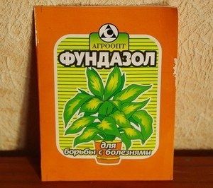 Фундазол: в борьбе с грибковыми заболеваниями — что нужно знать?