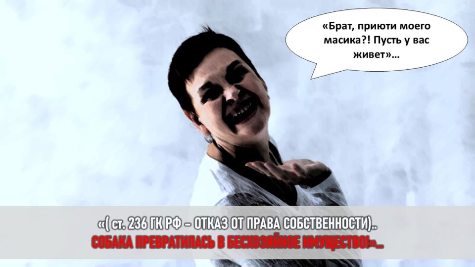Запутанная история о собачьих правам: Как золовка-манипуляторка чуть не сломала семью