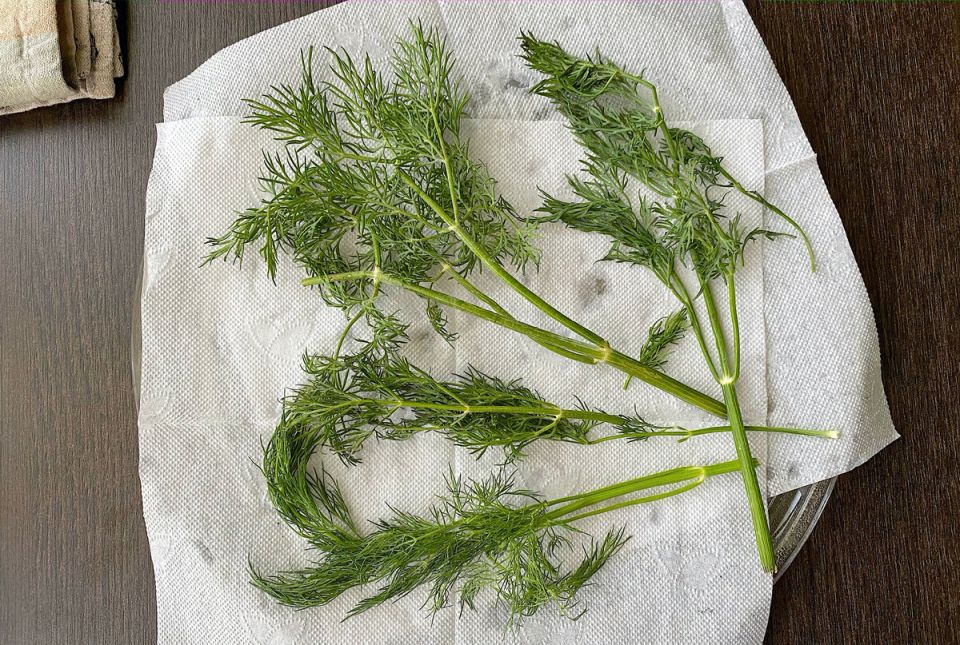 Секреты быстрой сушки зелени в микроволновой печи