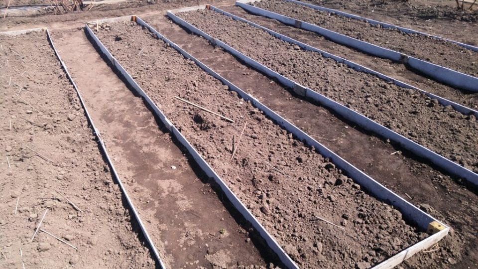 Создание долговечных грядок из шифера для вашего огорода