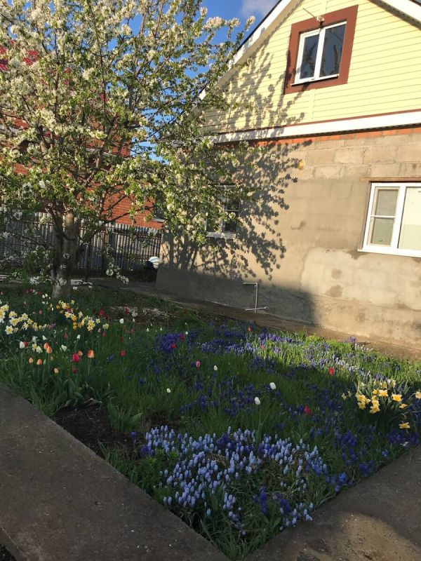 Как защитить свои растения от монилиоза: советы и рекомендации