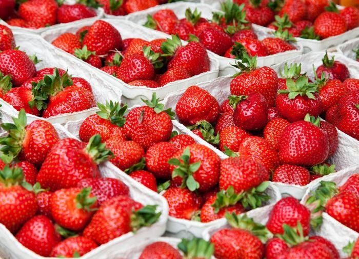 Почему сбор клубники в ведрах – это ошибка? Узнайте, как не испортить урожай