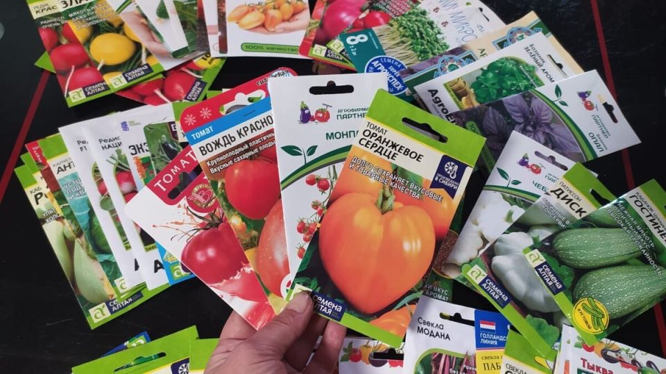 Декабрь на огороде: важные работы для успешного весеннего сезона