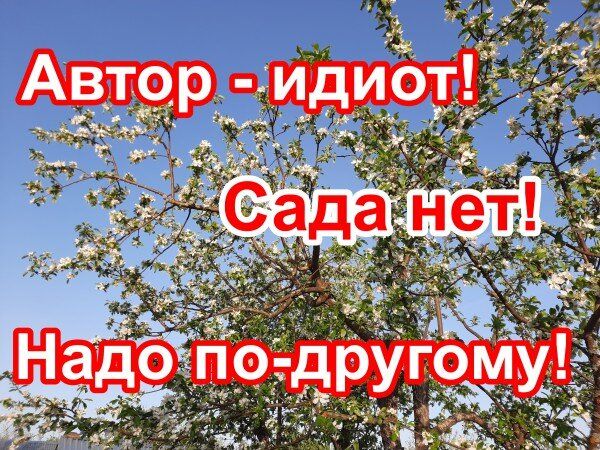 Как комментарии формируют общественное мнение: взгляд на типовые реплики