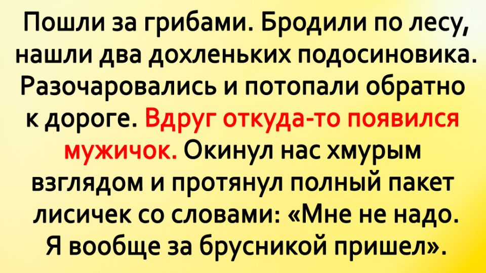 Необычные приключения в погоне за грибами: когда лес дарит улыбки