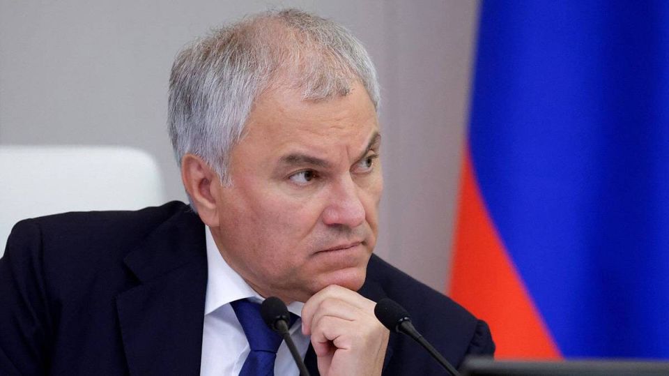 Володин требует от правительства меры против возможного изъятия российских активов в Европе