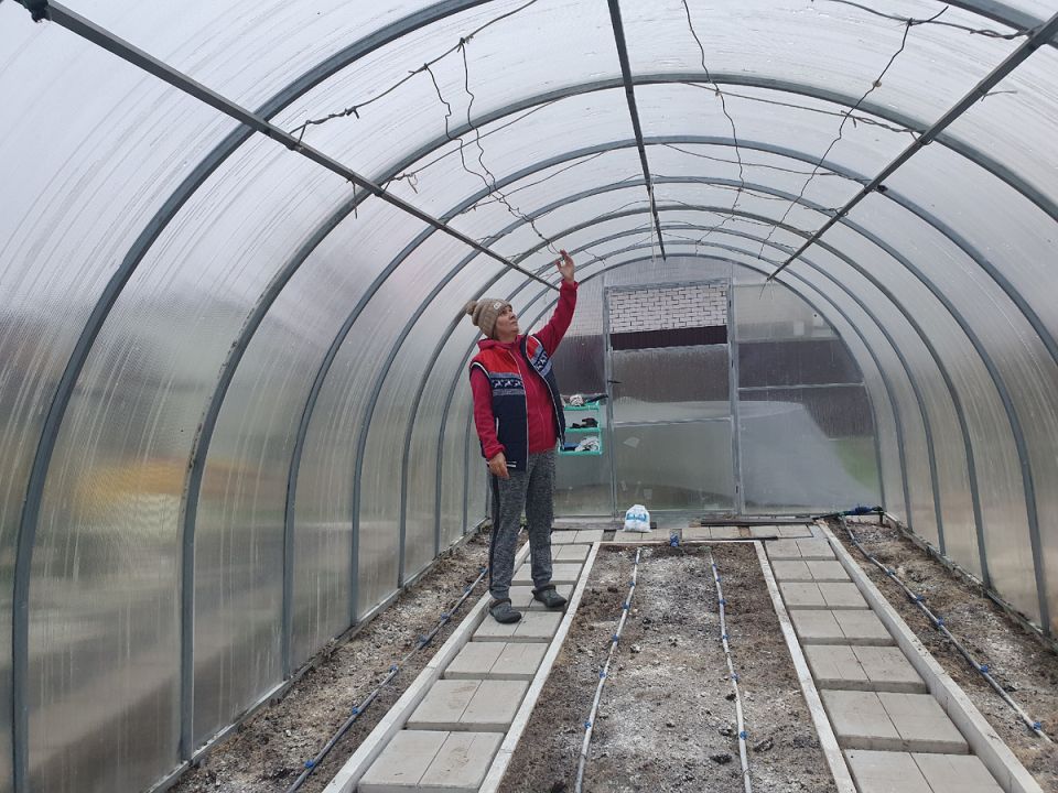 Как уберечь сад от зимних вредителей: практические советы для садоводов