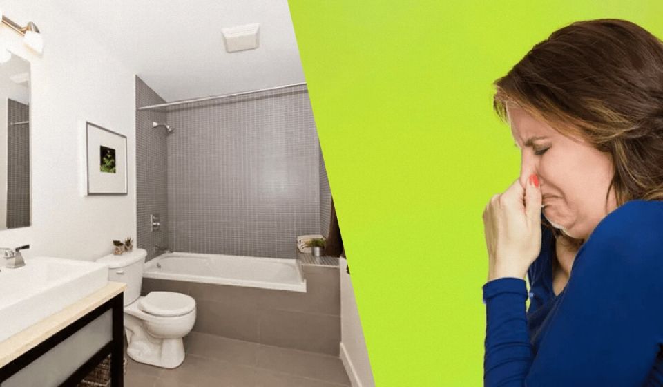 Как раз и навсегда избавиться от запаха сырости в ванной?