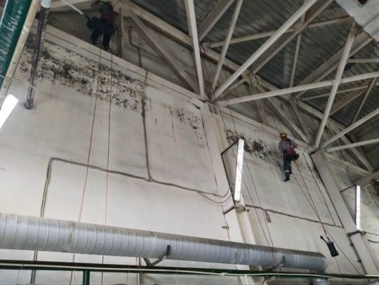 Как эффективно бороться с грибком и плесенью на пищевом производстве