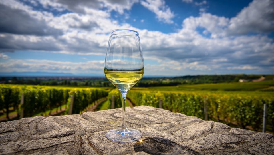 Пассито: Вино, которое сочетает в себе историю, искусство и природное очарование