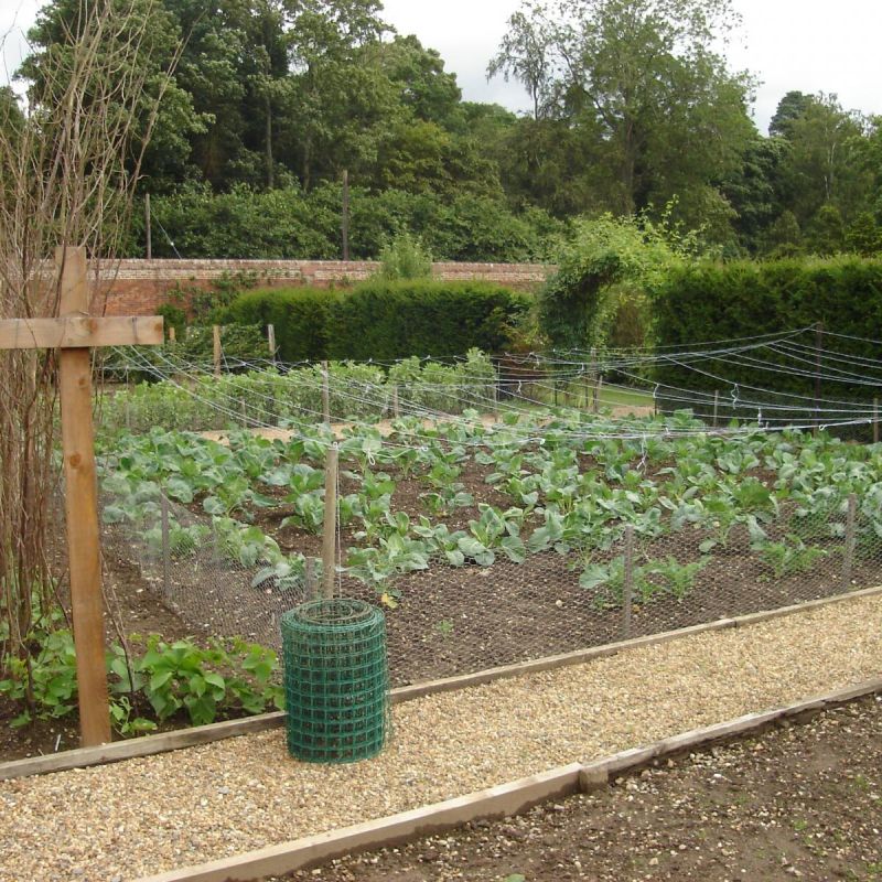Экологичные дачные решения: как картон и бумага помогают в садоводстве