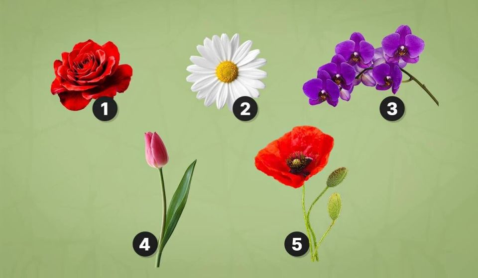 Цветочный тест: что ваши предпочтения расскажут о вашей личности?