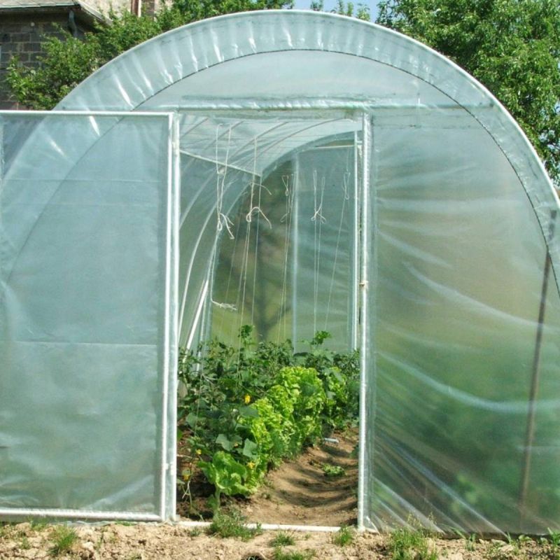 Как построить теплицу, которая идеально сохранит тепло и влагу для ваших растений