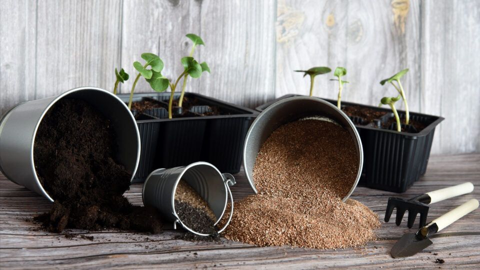 Вермикулит: секреты успешного ухода за растениями