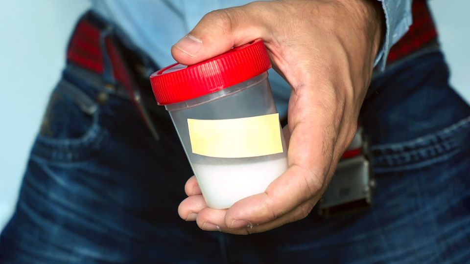 Разделение биологического отцовства и алиментных обязательств: новый взгляд на донорство спермы