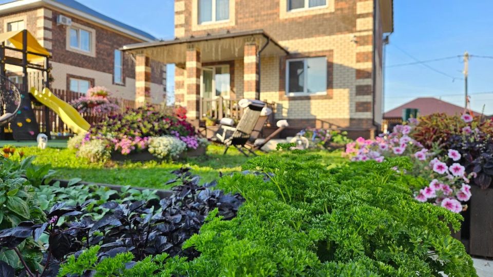 Почему идеальный газон может стать вашим худшим кошмаром