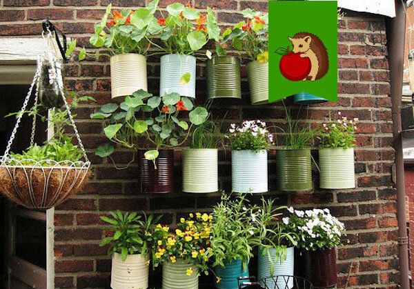 Польза алюминиевых и жестяных банок в саду