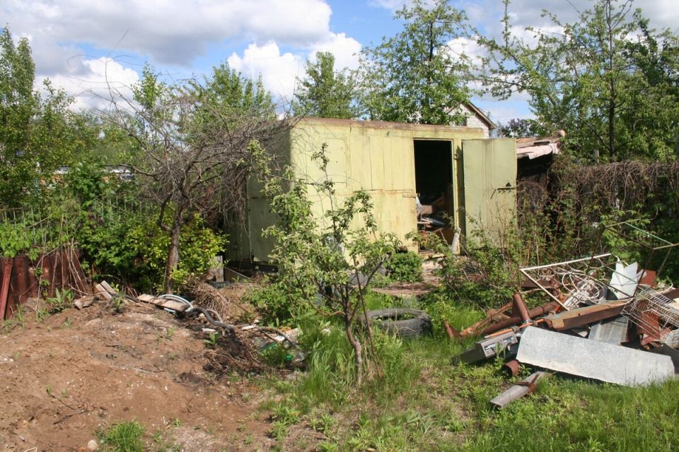 Трансформация сада: от запустения к цветущему оазису