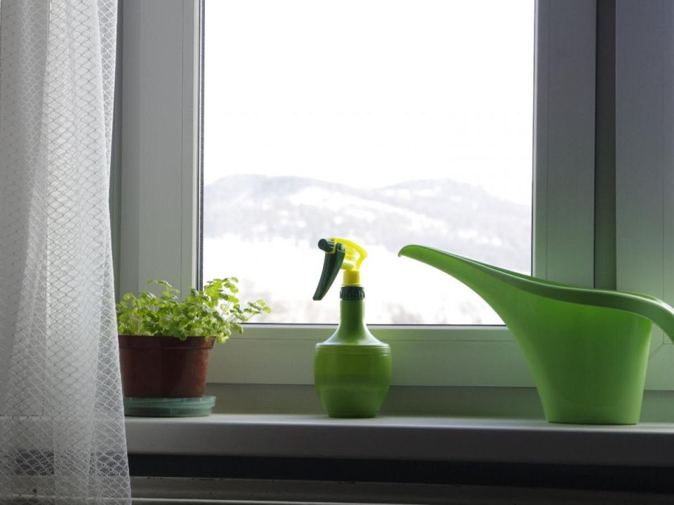 Практические советы по размещению рассады