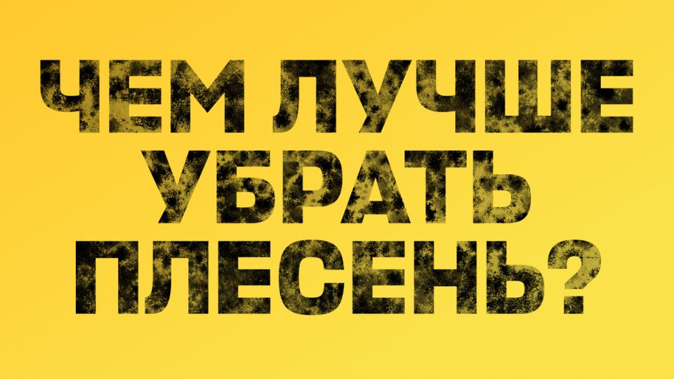 Плесень в доме: как бороться с вредителями народными и профессиональными средствами