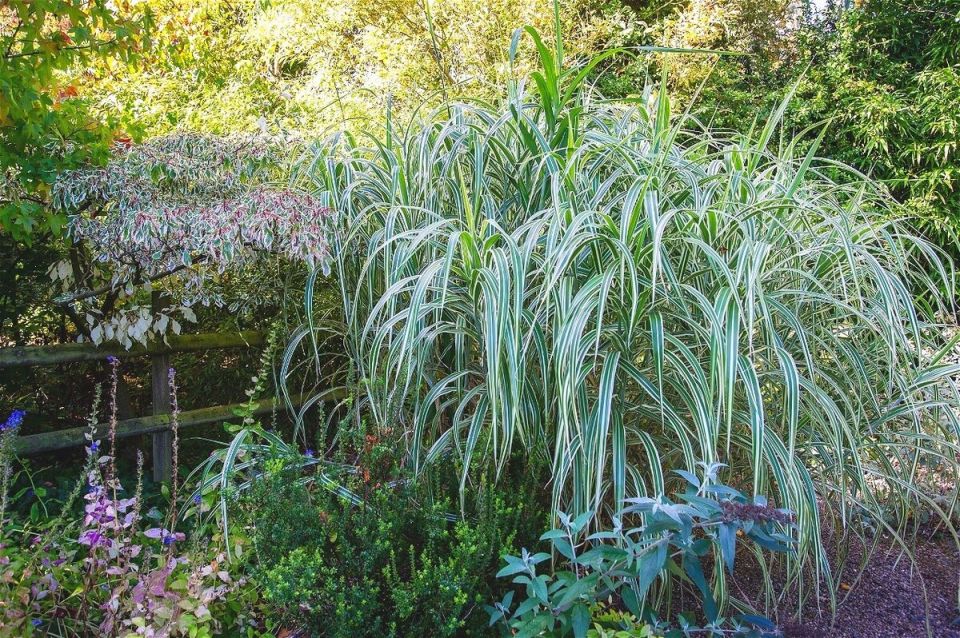 ����������� �����: ��� ������� � ��������� �� ������������� ������� � ����