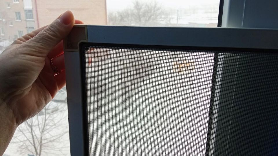 Зимняя загвоздка: почему москитные сетки лучше убрать на сезон холода?