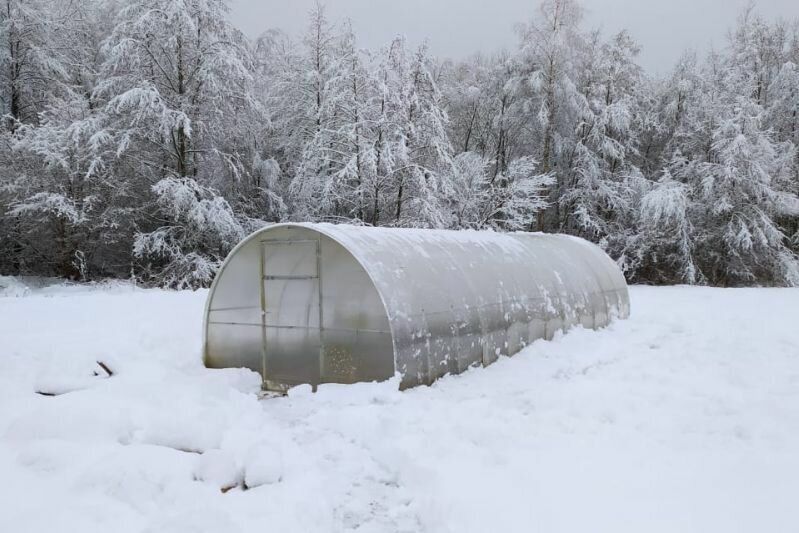 Что нужно сделать в саду и огороде в декабре: советы для будущего урожая