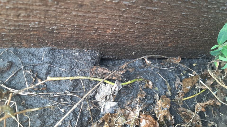 ��� ������ ���������� �� �������� �� ����� �������