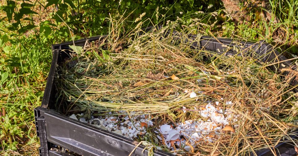 ���������� �� ��������: ������������ ������ �� ��������� � ���