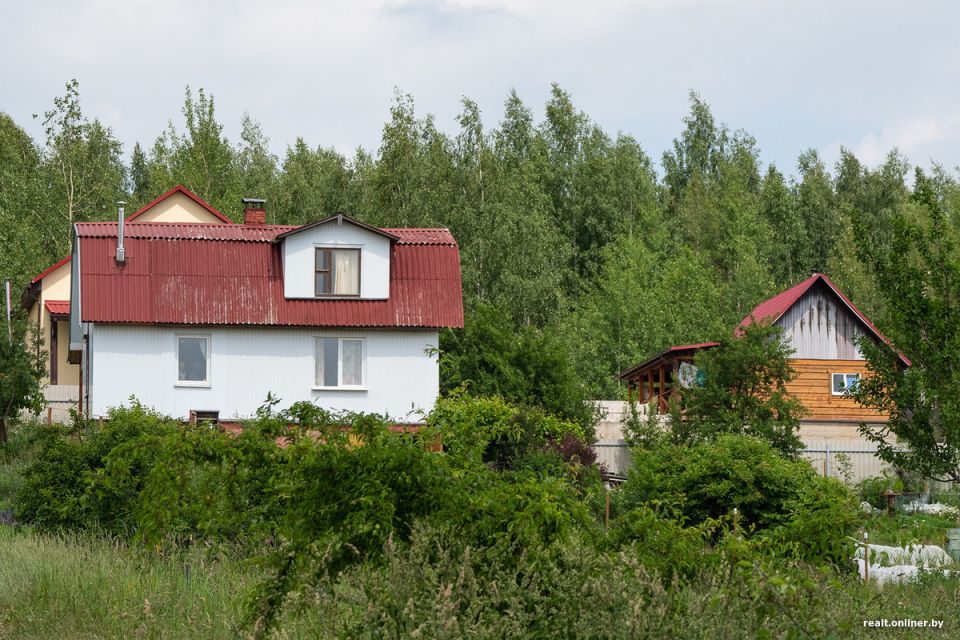 ��� ����� ������: ����������� ��������� ������ ������ ������� �� ����