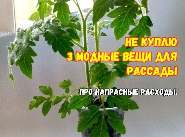 �������� �� �������: ��� ���������� 2000 ������ � ��������� �������� �������� ��� ������ ������