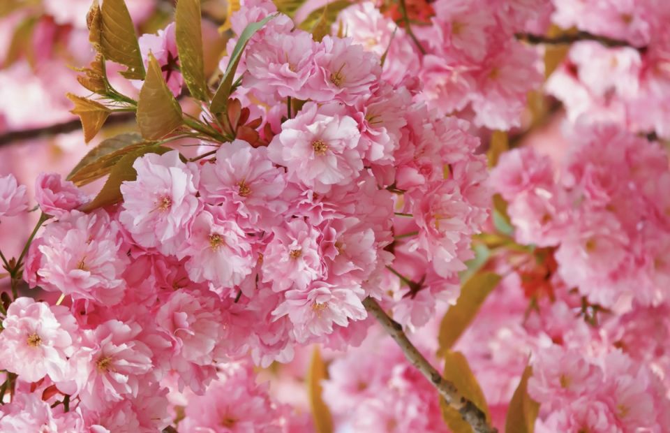 ������ ���: ��� 15 �������������� �������� ��� ������ �������