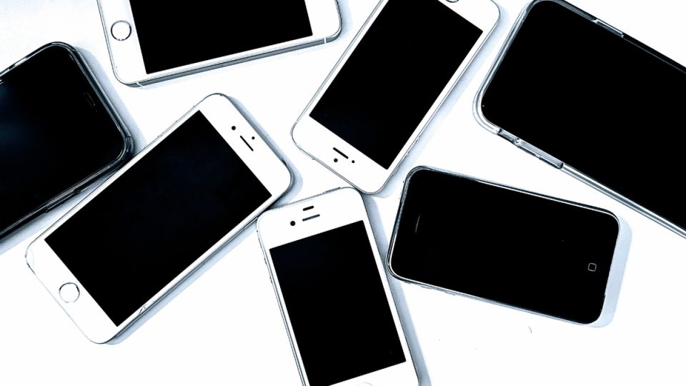 ��������� �� ��������� ����: ����� ������� '�����' ��������� ���������