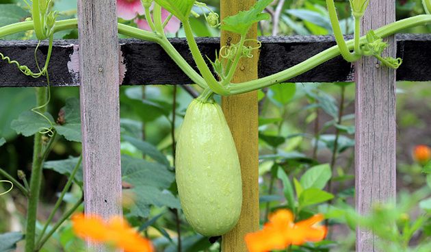 35 ������ ������ ��������: ����� ������� � ���������� � ��������