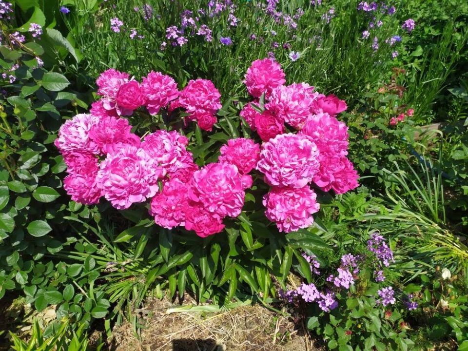 ��� ��������� �� ������� � ������ ������ ������: ������� �������� � ��������