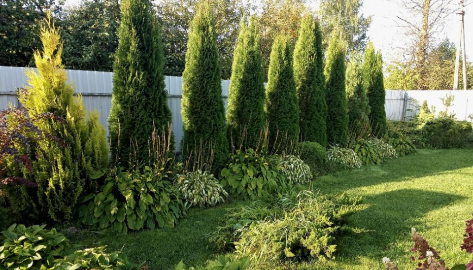 ������ ��� ��������� ���� �������: ������������ �� �������