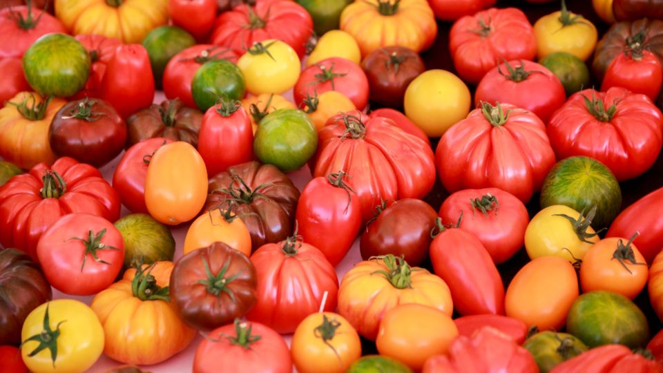 � ����� ������������� �� ����: ������� ������������ �������� ������� � ��� ����� ������� �������