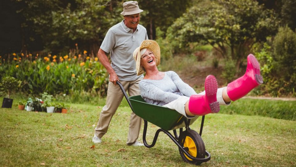 ����� ��������� ������ ��� ��������-�����������