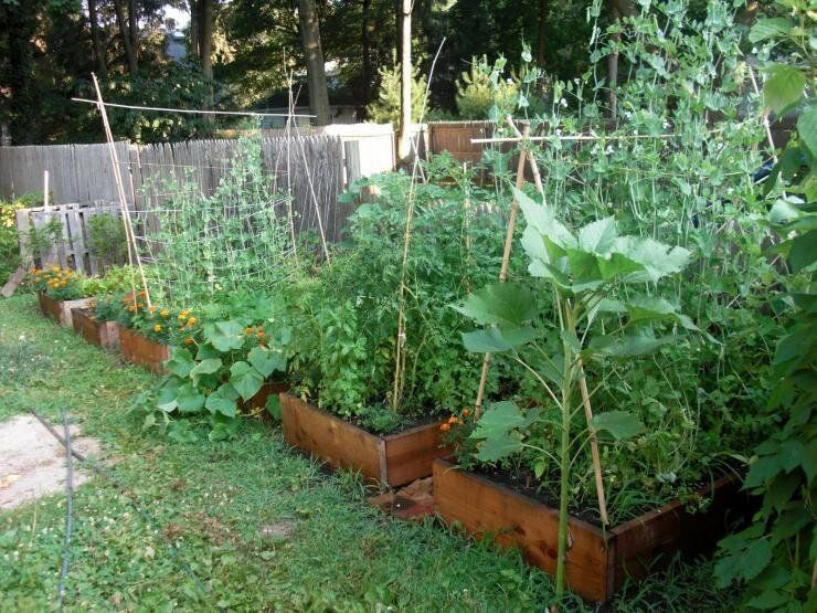 Как создать теплые грядки для ранних огурцов: советы и рекомендации