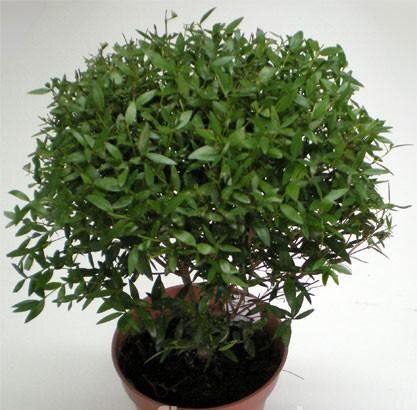 ����: ������� �������� ��� �������� � ���� � ����� ����