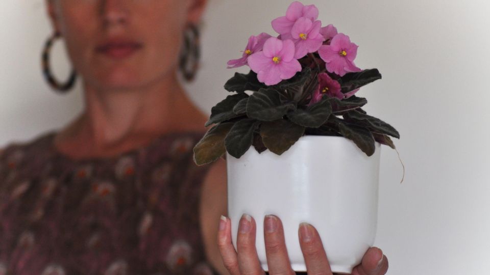 ������ ����� ������ ������ ��������: ��� ��� ����� �������� ��� ����������� �����